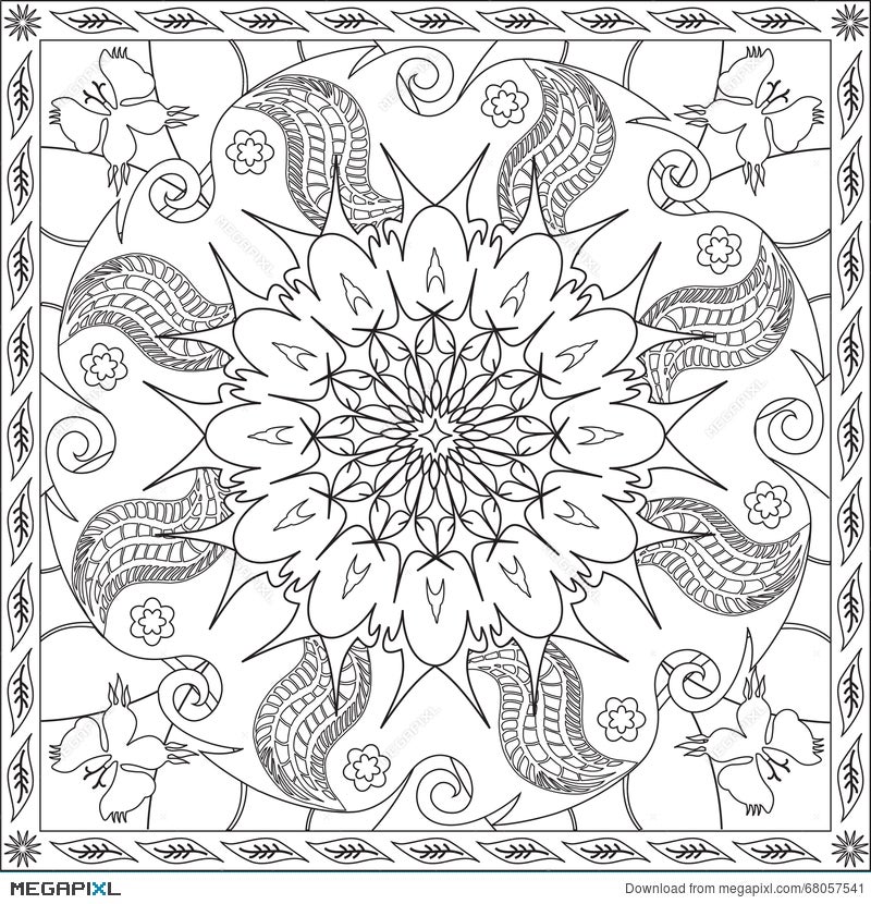 Coloring Page Book For Adults Square Format Floral Mandala Butterfly Design Vector Illustration
