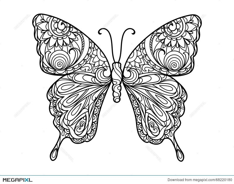 butterfly coloring book for adults vector illustration