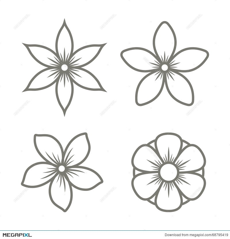 Hand Drawn Sketch of Jasmine Flower by MiaAkimo  GraphicRiver