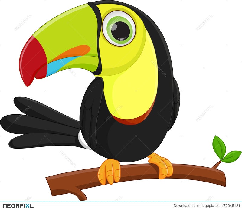toucan cartoon