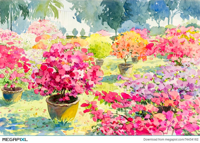 Abstract Watercolor Landscape Original Painting Pink Color Of Paper Flower Illustration Megapixl