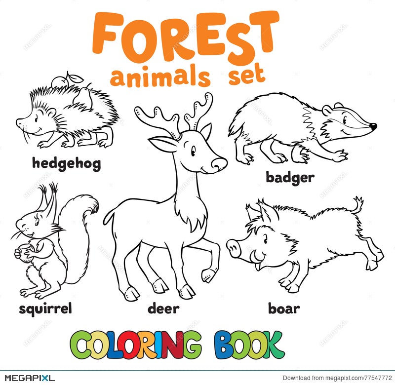 Forest Animals Coloring Book Illustration 77547772 - Megapixl