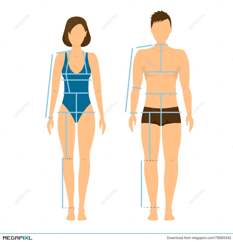 Woman Female Body Measurement Proportions for Clothing Design and Sewing  Chart for Fashion Vector illustration Stock Vector