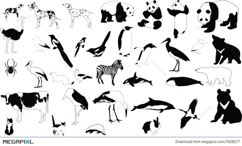 Black And White Animals Illustration 7928277 Megapixl