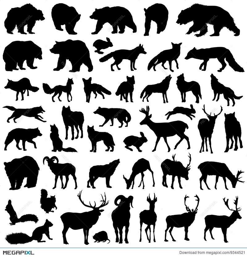 Vector Collection Forest Wild Animals Silhouette Illustration 9344521 -  Megapixl
