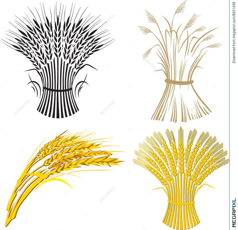 sheaves of wheat clipart outline