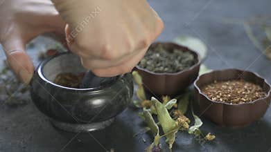 Preparation of medicinal herbs for use. Medicinal plants on the table. Woman rubs medicinal plants in a mortar