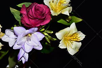 Very pretty multicolor flowers close up