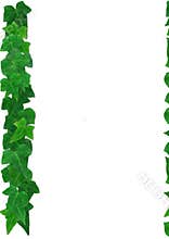 English Ivy leaves frame on a white background