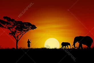African Sunset