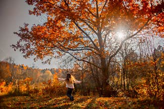 Little girl playing under red oak
