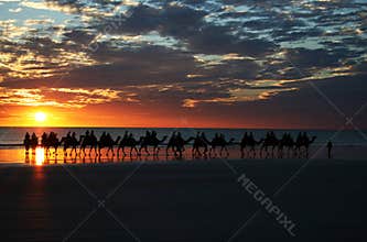 Camel Ride Sunset Cable Beach