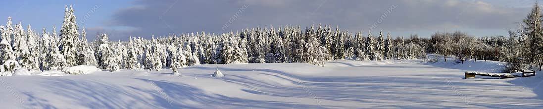 Winter landscape