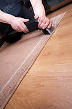 Professional carpet cleaning