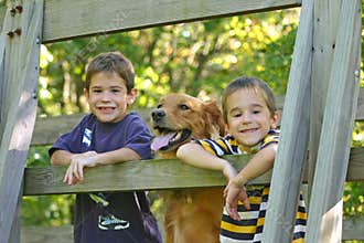 Boys and Dog