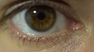 Brown female eye extreme close-up blinking detailed macro, eye lashes, human anatomy