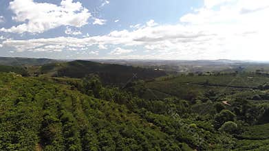 Coffee farm in Brazil