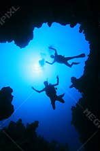 Scuba Diving