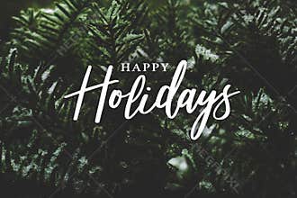 Happy Holidays Text Over Winter Evergreen Branches Covered in Snow