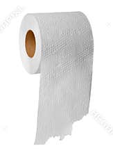 Toilet paper on white background