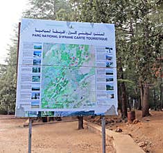 Ifrane National Park