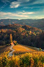 Famous Heart shaped wine road in Slovenia, view from Spicnik ne
