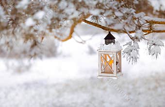 Lantern with candle on a snowy tree