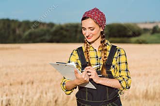 Farmer doing business administration on the field