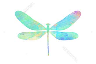 Watercolor butterfly. tropical insect for design. isolated on white background