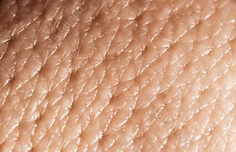 Human skin macro