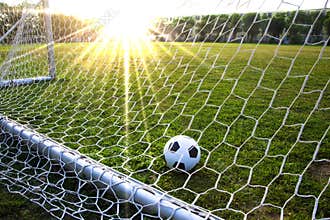 A soccer ball in a grass field