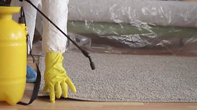 Carpet spray treatment,cleaning service or exterminator
