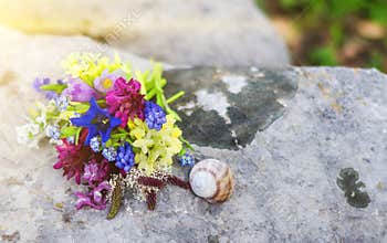 Bouquette of flowers and a snail on a big gray boulder