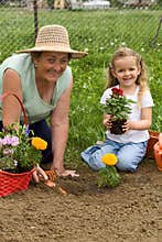Grandmother teaching little girl gardening