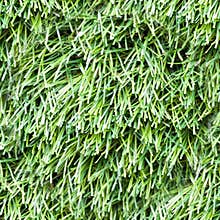 seamless artificial grass texture. close-up, background.