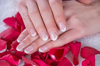 Modern French Nails: Elegance and Beauty in a Serene Setting