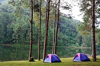 Camping
