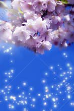 Magic spring