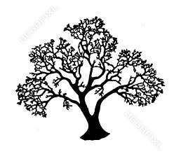 Tree silhouette