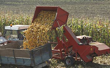 Corn Harvester