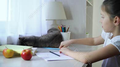 Happy little girl playing with her pet cat and looking at the camera