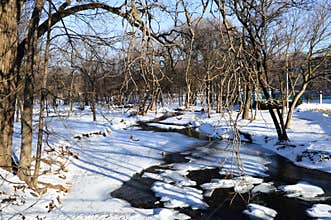 Donian Wetland Nature Preserve - Lake Geneva, WI