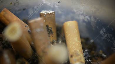 Macro of  cigarette butts
