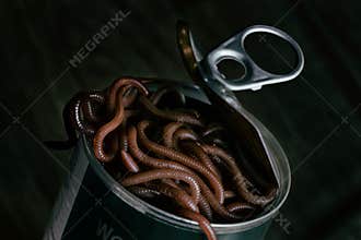 A Can of Worms Opened