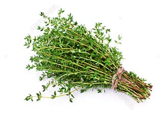 Thyme