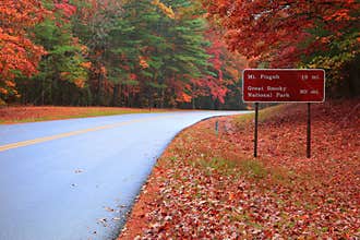 Heading To Pisgah Or The Great Smoky Mountain National Park On The Blue Ridge Parkway In Autumn