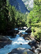 Babbling Brook in Yosemite National Park