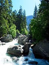 Babbling Brook in Yosemite National Park