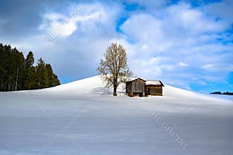 Sunlight on barn and bare tree on hill in snowy winter landscape and fir forest in South Germany.