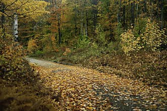 Vibrant fall colors light up New Hampshire`s backroads